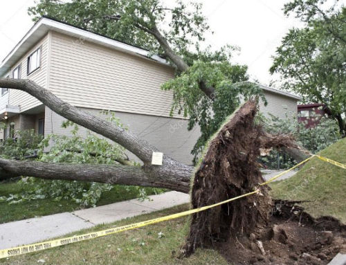 What To Do if Storm Damage Happens