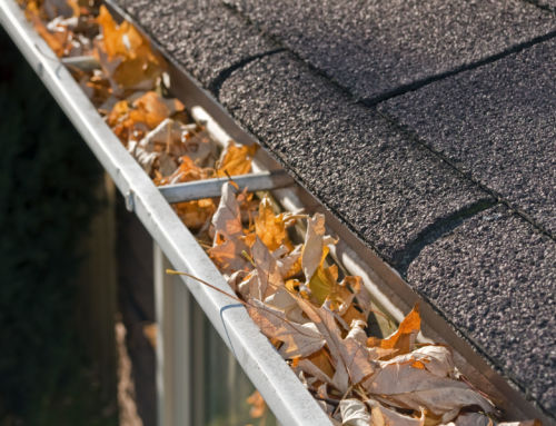 Prepare Your Gutters for Winter To Prevent Roof Damage